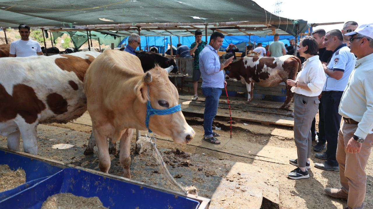 Izmirdesondakika-350