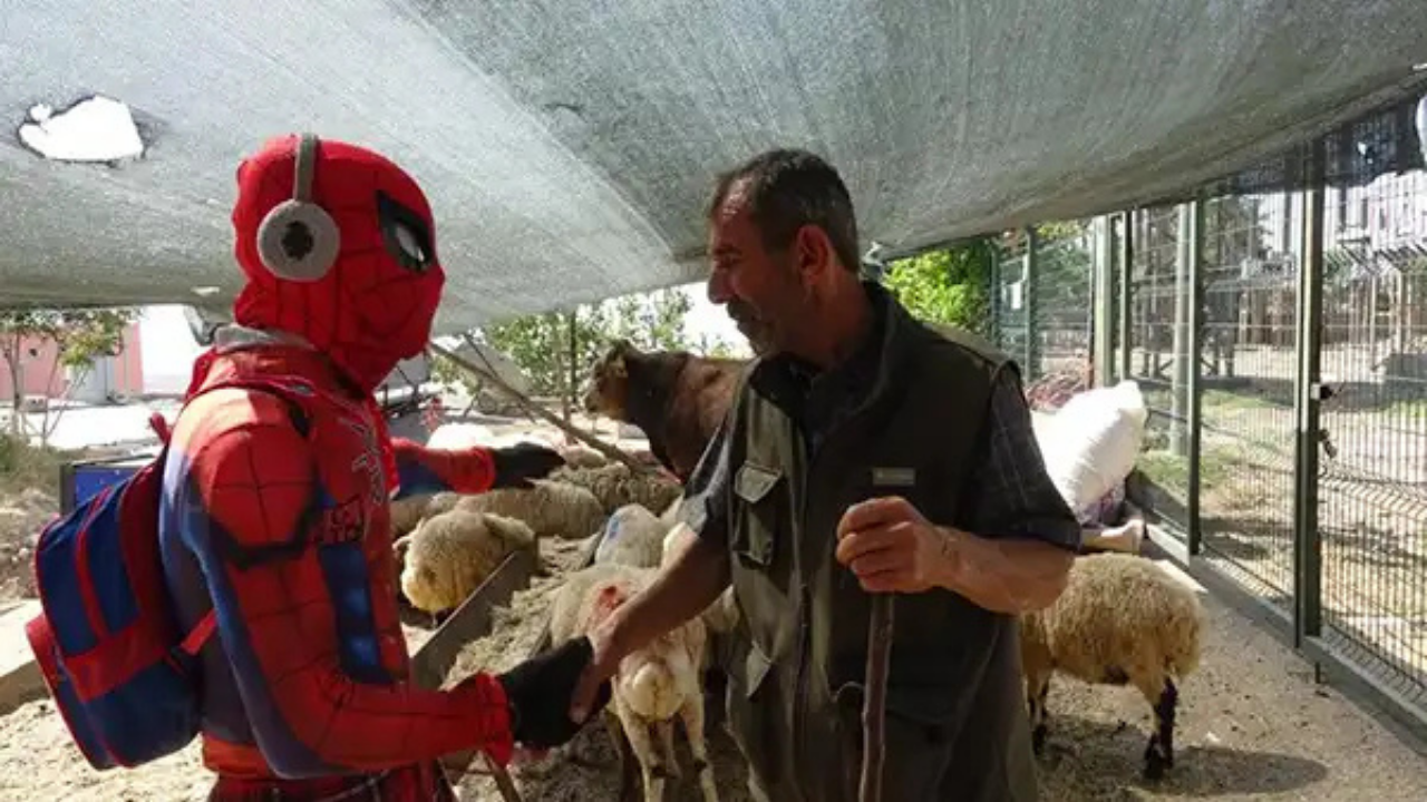 Örümcek Adam Kurban