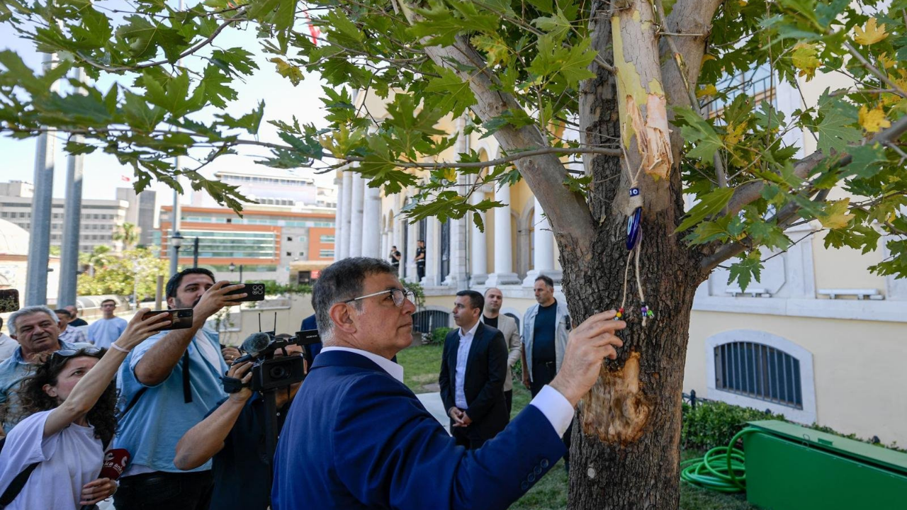 Yeni Çınar Ağacı Nazar