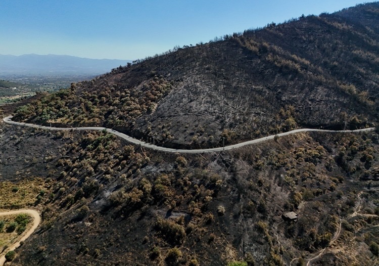 9410C88B 9Fd9 4F7A A1Dd A3755F181421