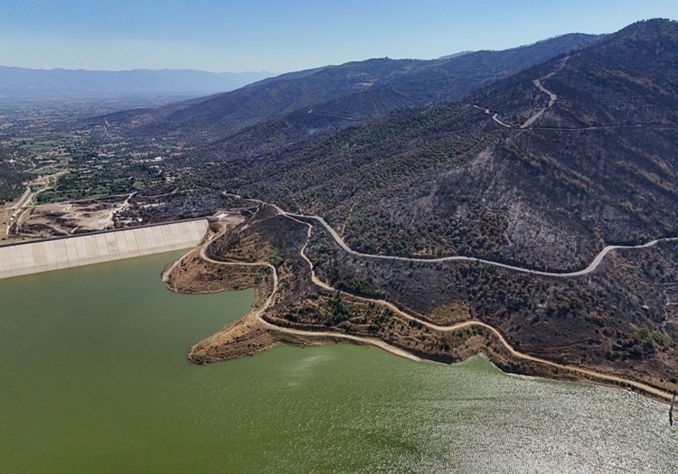 A5A398E0 45F3 4714 926A 32Cd137D39B9