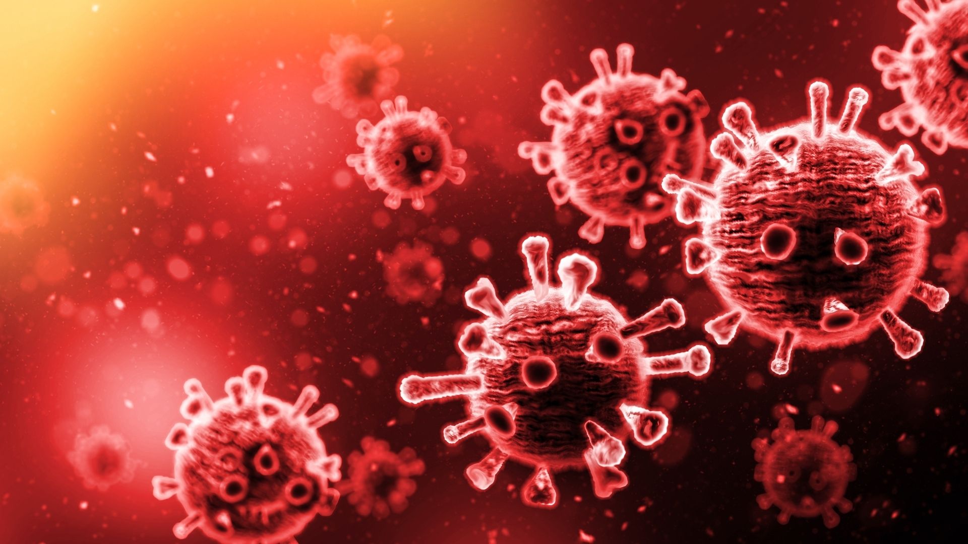 Adenovirüs Havuzlardan Bulaşabiliyor Uzmanlardan Yaz Aylarında Hijyen Uyarısı (2)