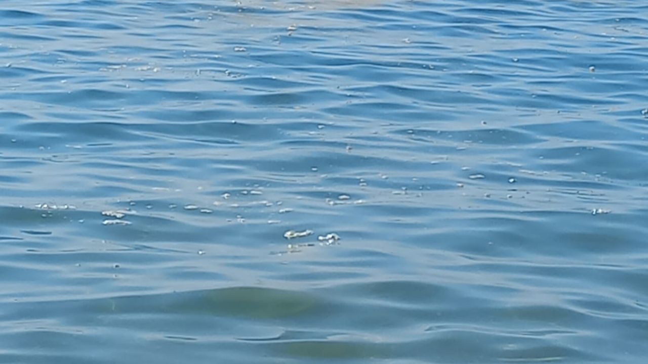 Ahmetbeyli Sahilinde Çevre Alarmı Tekneler Denizi Kirletiyor2