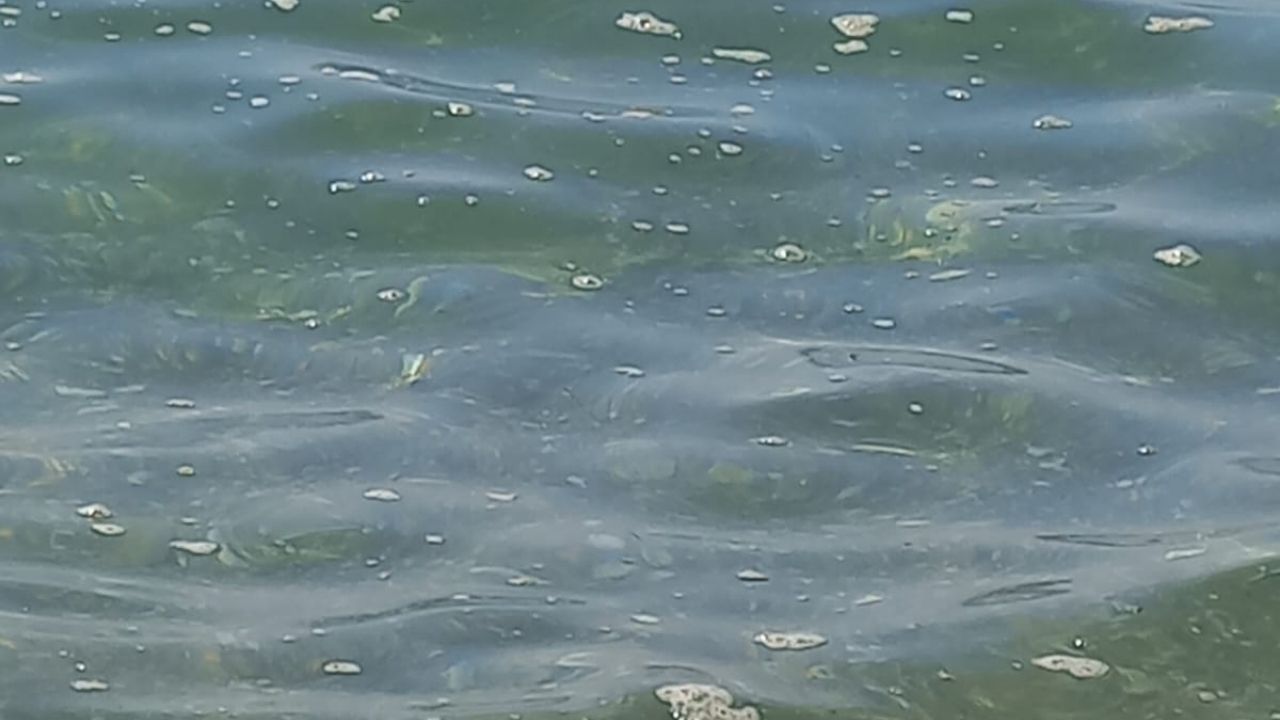 Ahmetbeyli Sahilinde Çevre Alarmı Tekneler Denizi Kirletiyor3