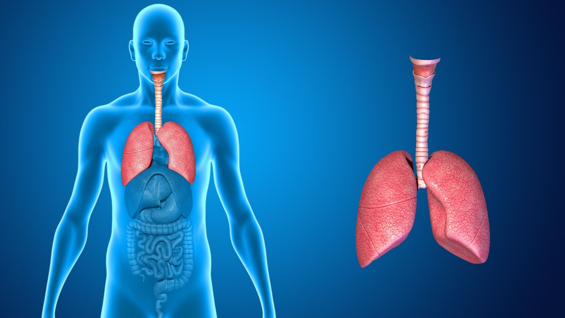 Akciğer Sağlığı Için Erken Tanı Çağrısı Hayat Kurtarır (3)