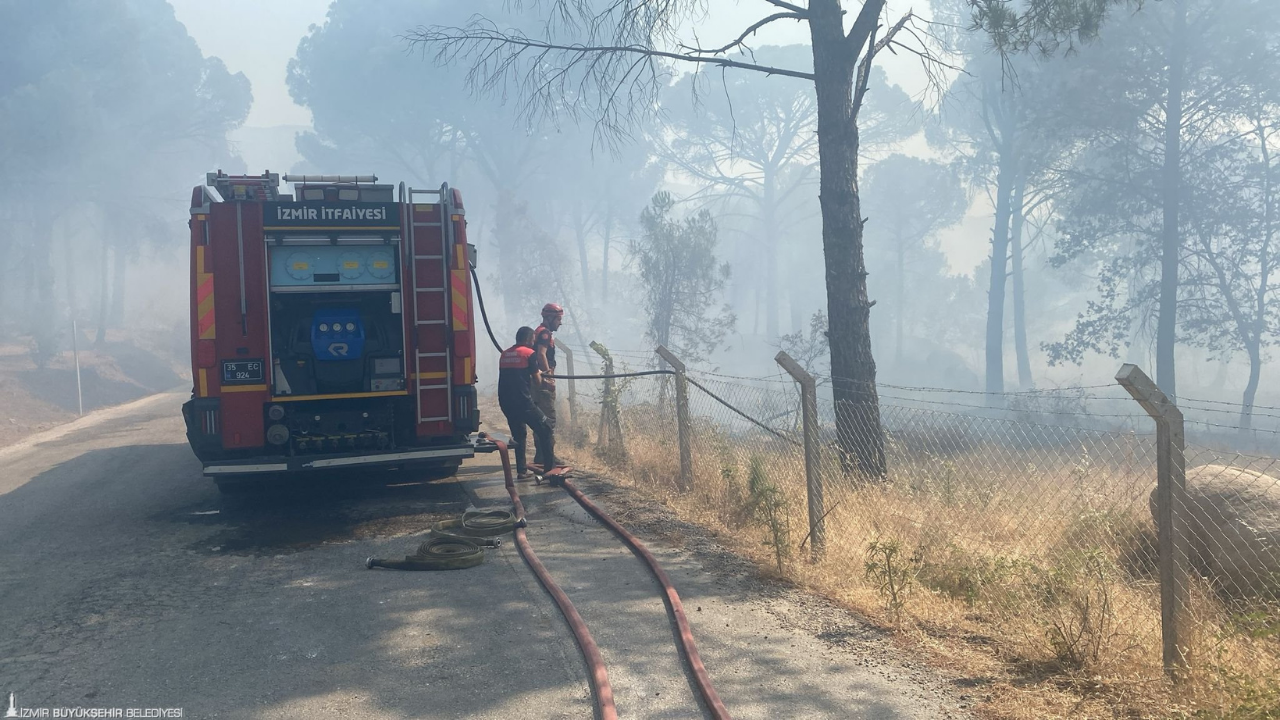 Bergama Anız Yangınıı