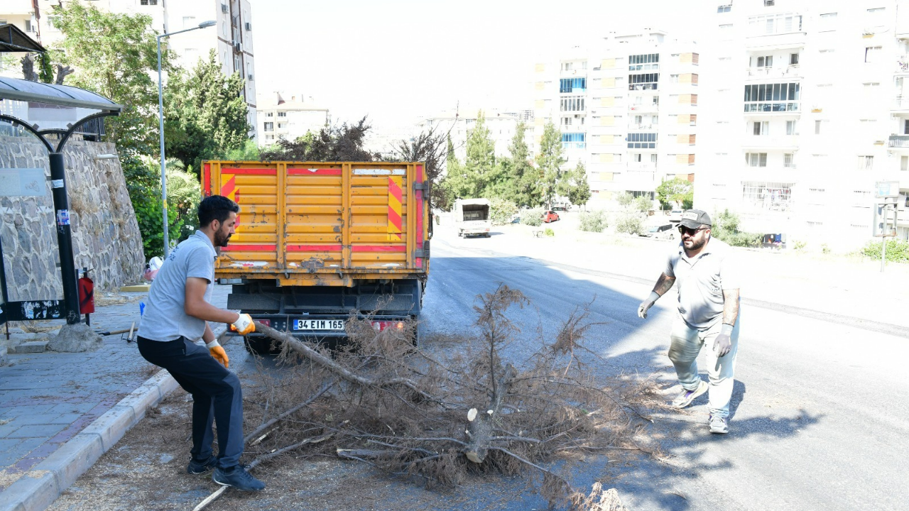 Çiğli 4