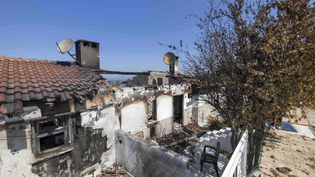 Izmir Yangın Yaraları Sarılıyorrr