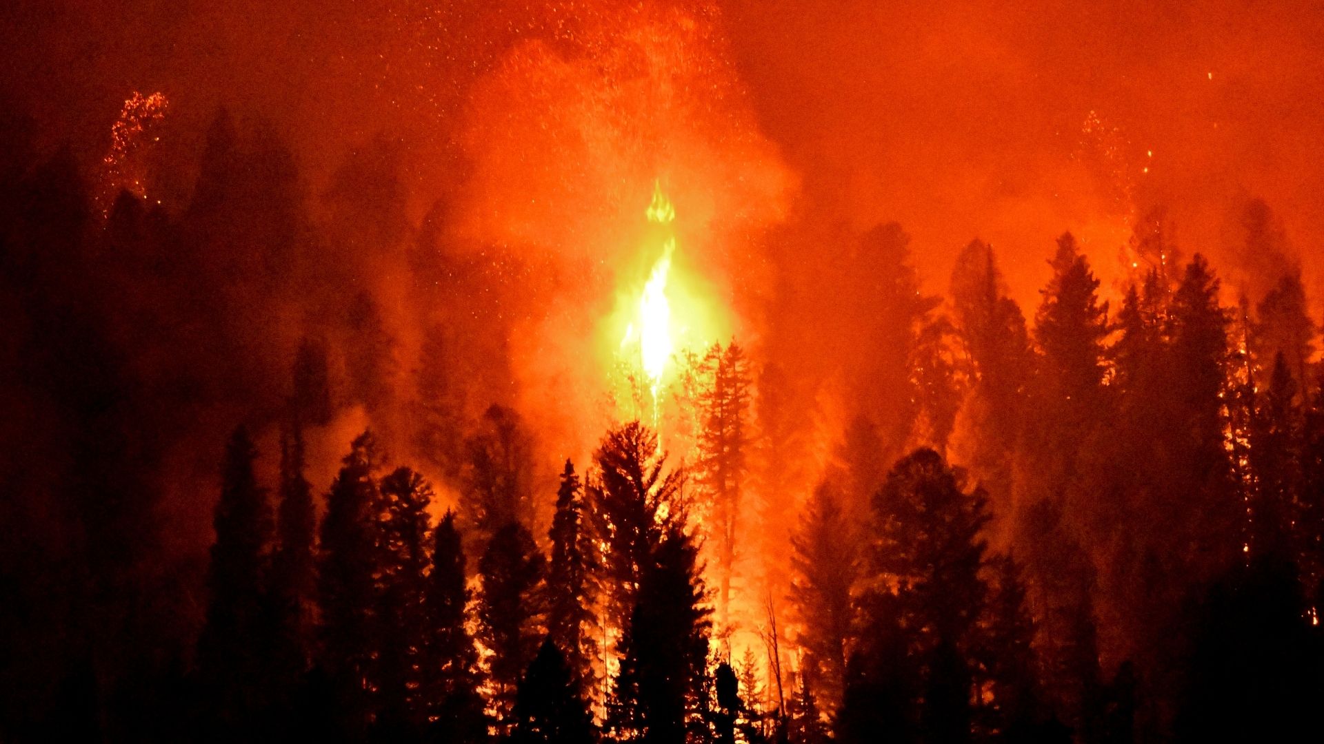 İzmirlilere Sorduk Aynı Anda Çıkan Yangınlar Tesadüf Mü, Kasıt Mı (1)