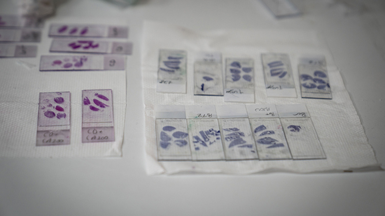 Atatürk Üniversitesi Veteriner Fakültesi (2)