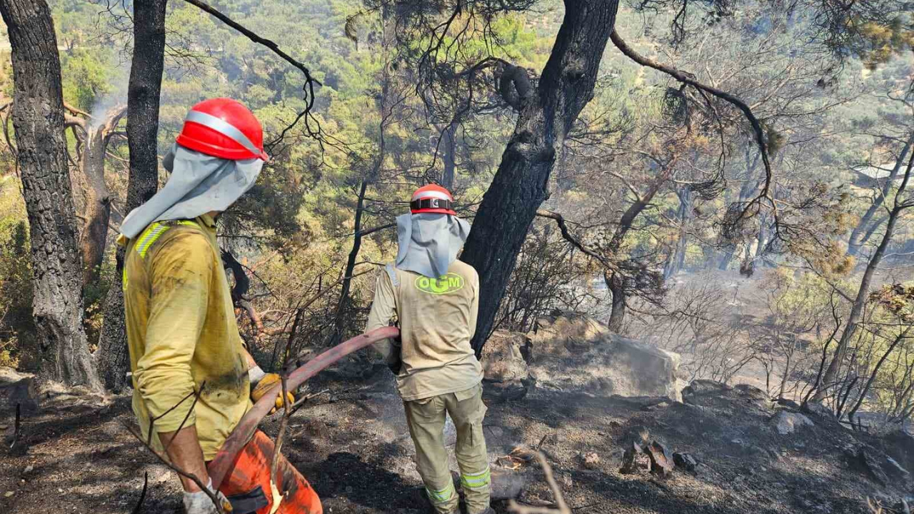 Aydın Germencik Yangın2