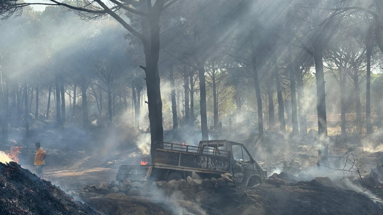 Bergama Orman Yangını