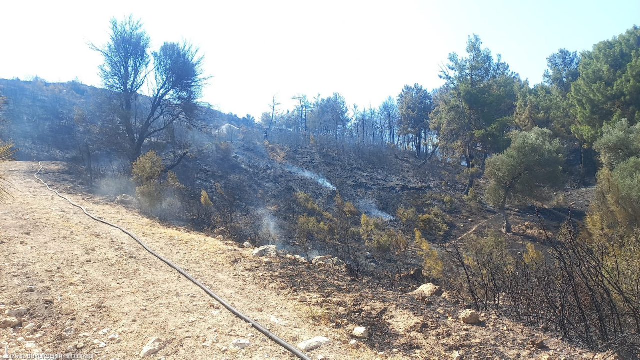 Buca Ve Aliağa’daki Yangınlar Kontrol Altına Alındı 1