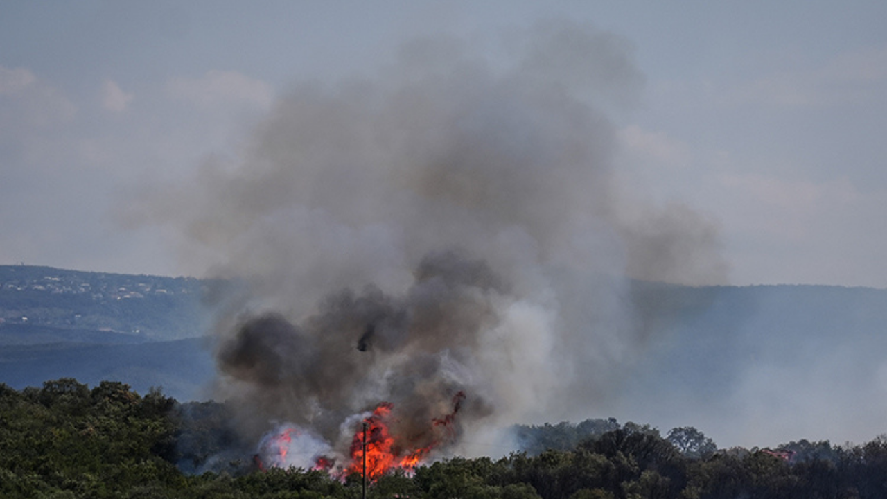 Bursa Orman Yangını (2)
