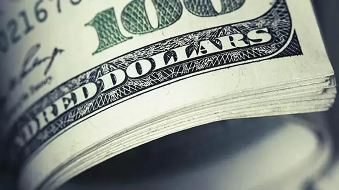 Döviz cinsi ticari kredilerde rekor: Artış hızı yavaşladı