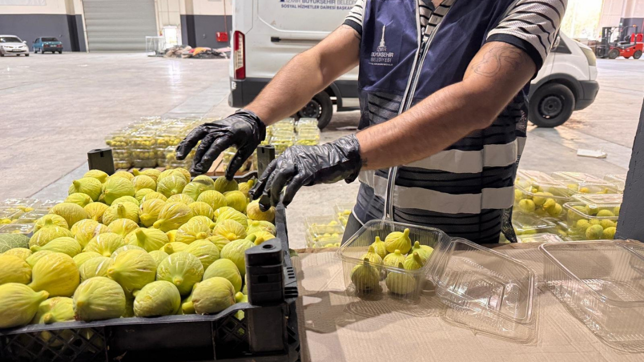 Izmir Üreticiye Destek Incir