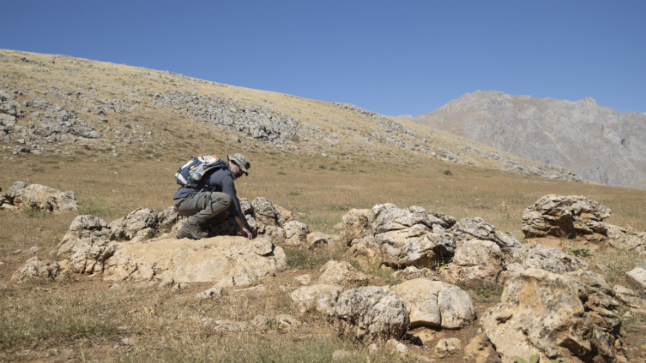Munzur Dağları’nda Yeni Yediuyur Türü Keşfedildi