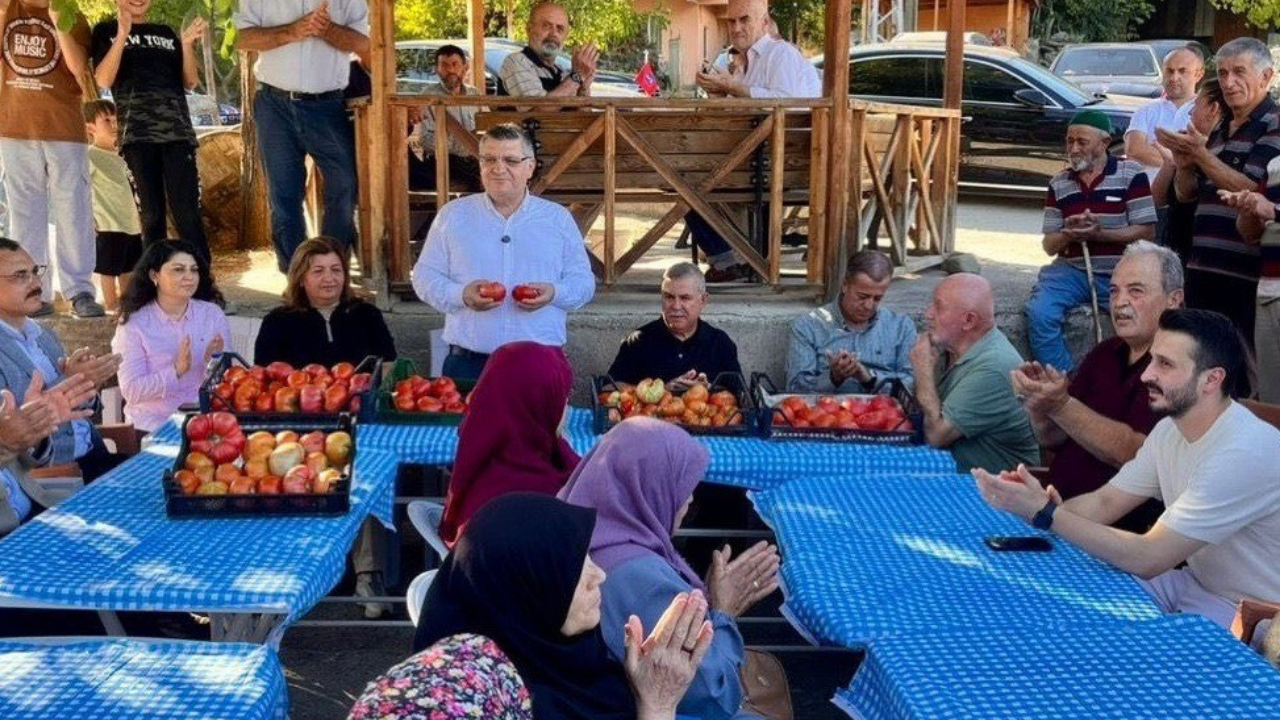 Sinop’ta Coğrafi Işaretli Gazidere Domatesi Hasatta (2)