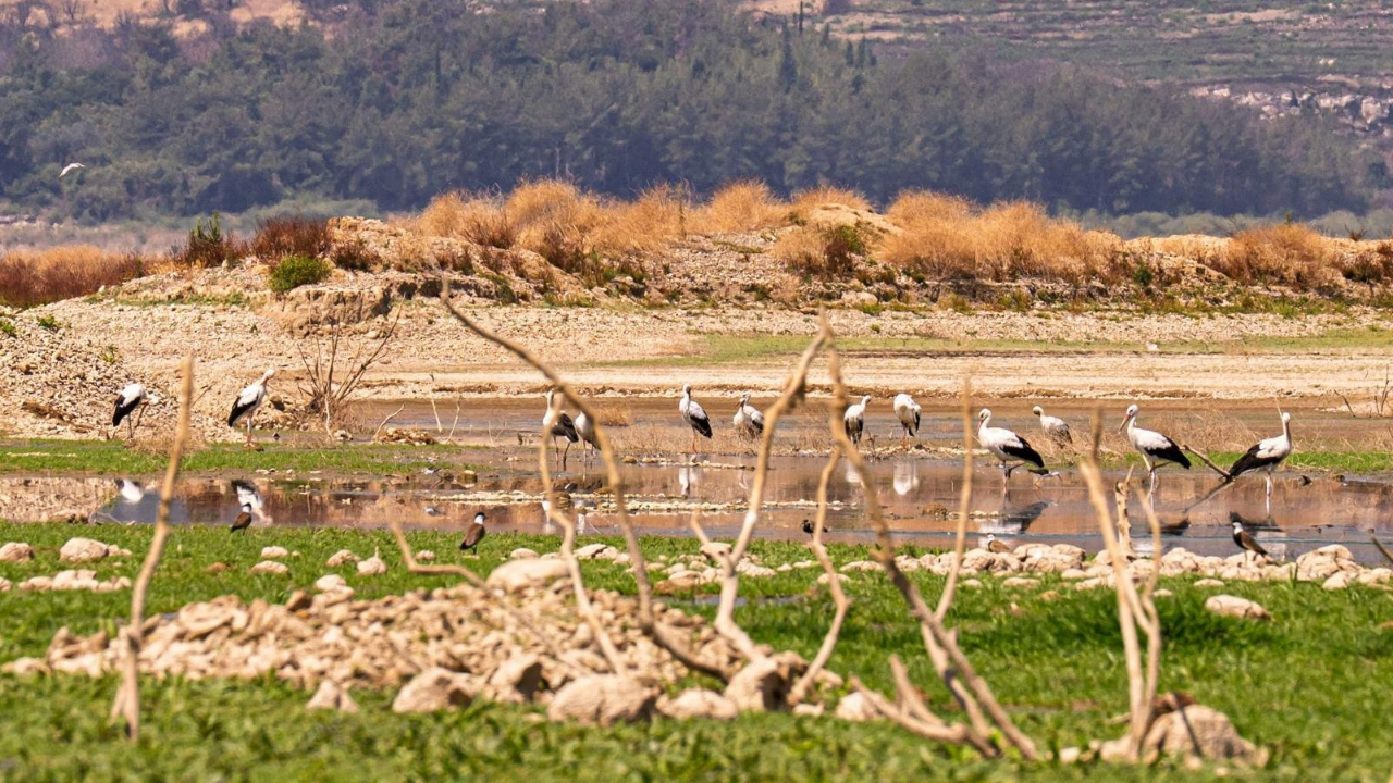 Tahtalı Barajı Kuraklık 1