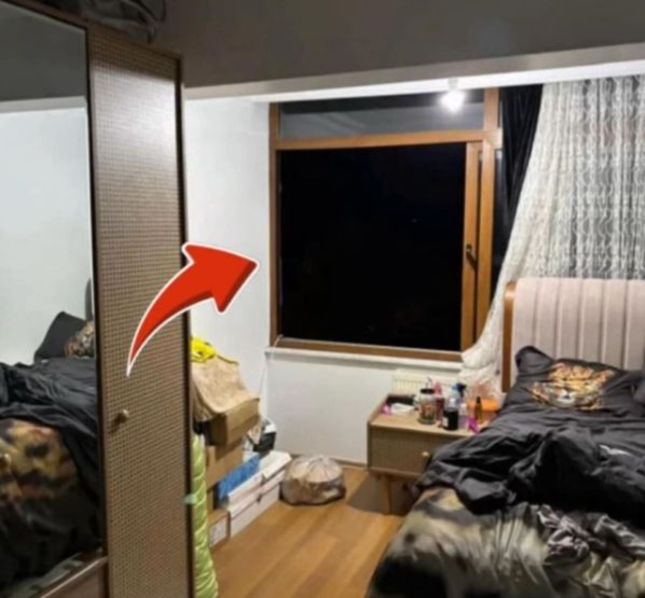 3826358 7E6722Bb1Cdcabe11C2A3E9E7Cdaf833