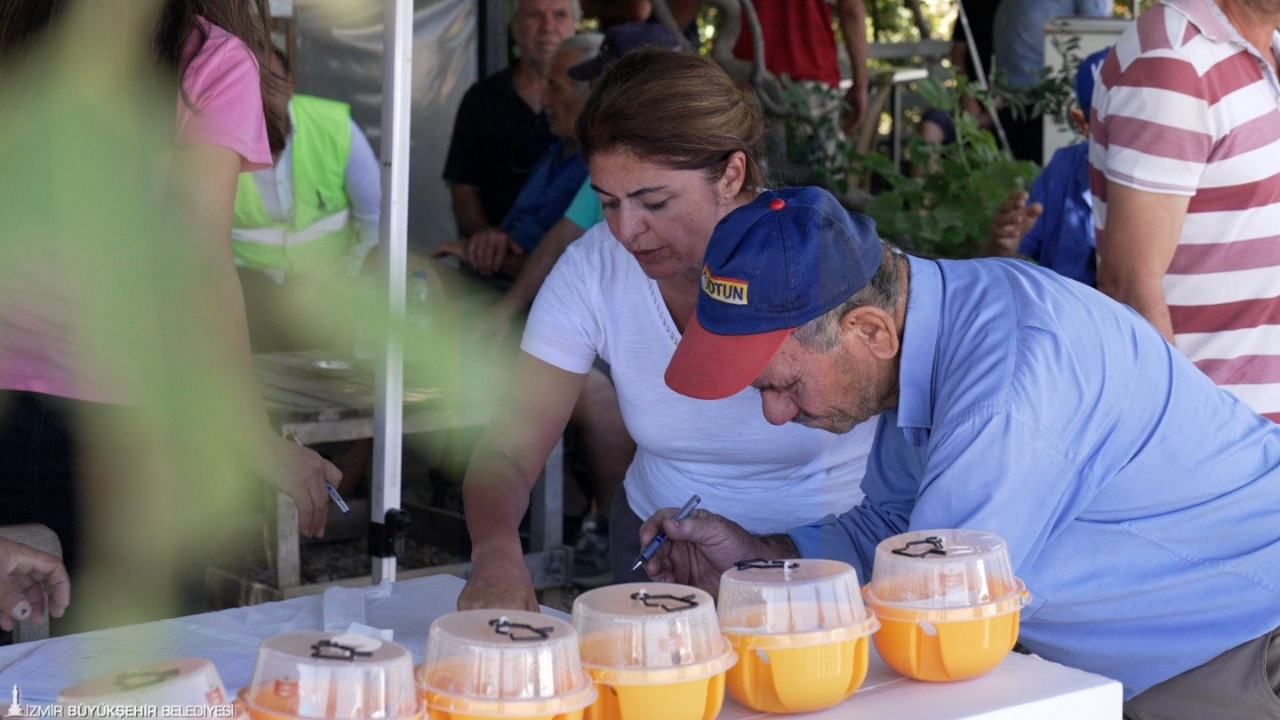 Akdeniz Sineği Mücadele 1