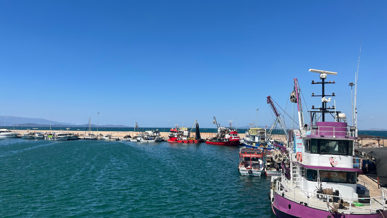 Balık Çok Çalışan Yok 2