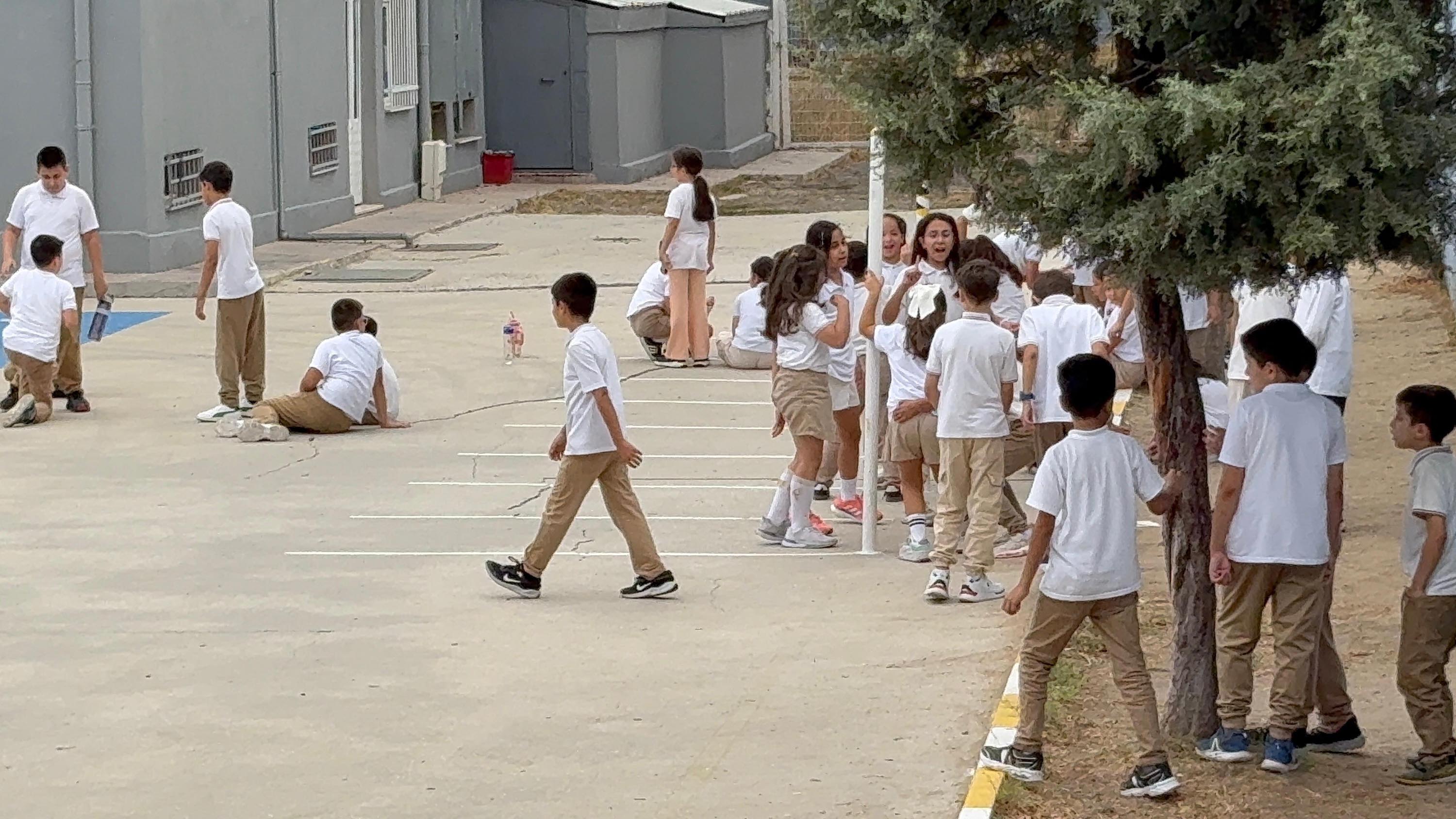 D O C. D R. D O G A N O N L E M A L I N M A Z S A U S T S O L U 914742 271770