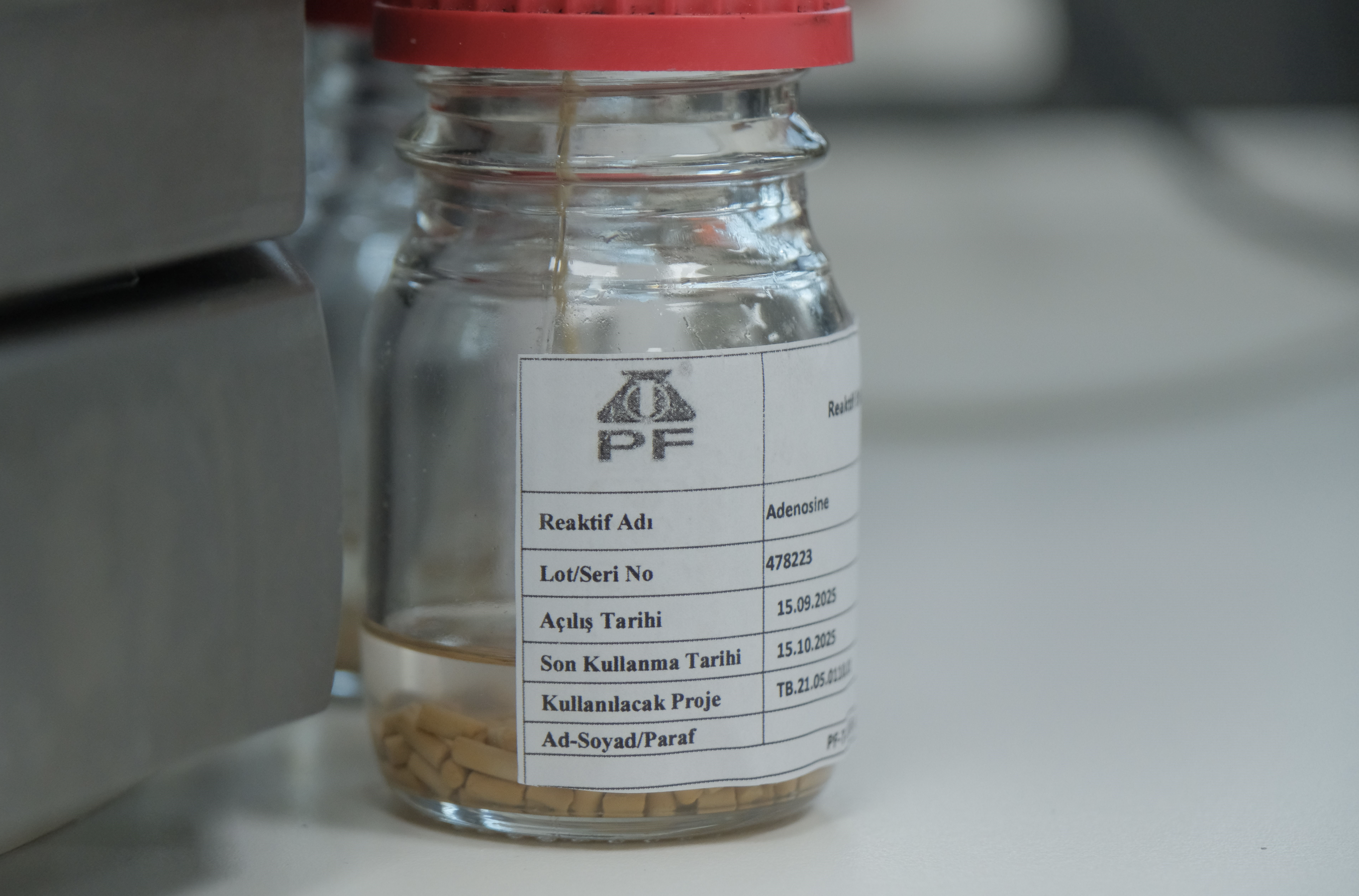 Ekran Resmi 2025 09 19 17.49.57