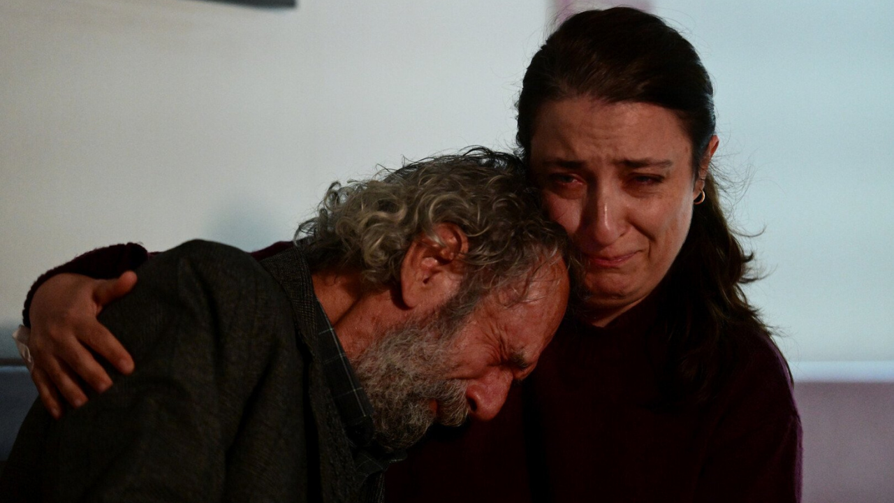 Altın Kedi Finalistleri Belli Oldu 1