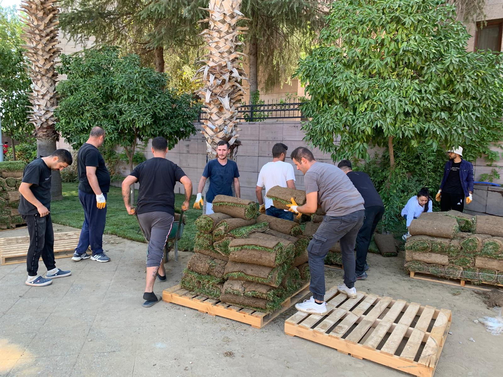 ++Bayındır Myo Adliye Çimlendirme (20)