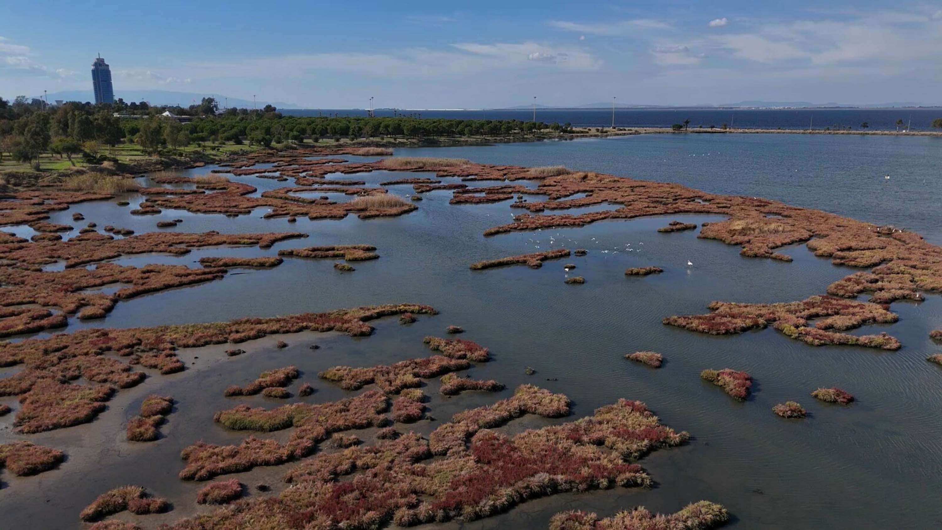 C A K A L B U R N U L A G U N U’ N D E S O N B A H A R M A N Z A R A S I 959426 284906