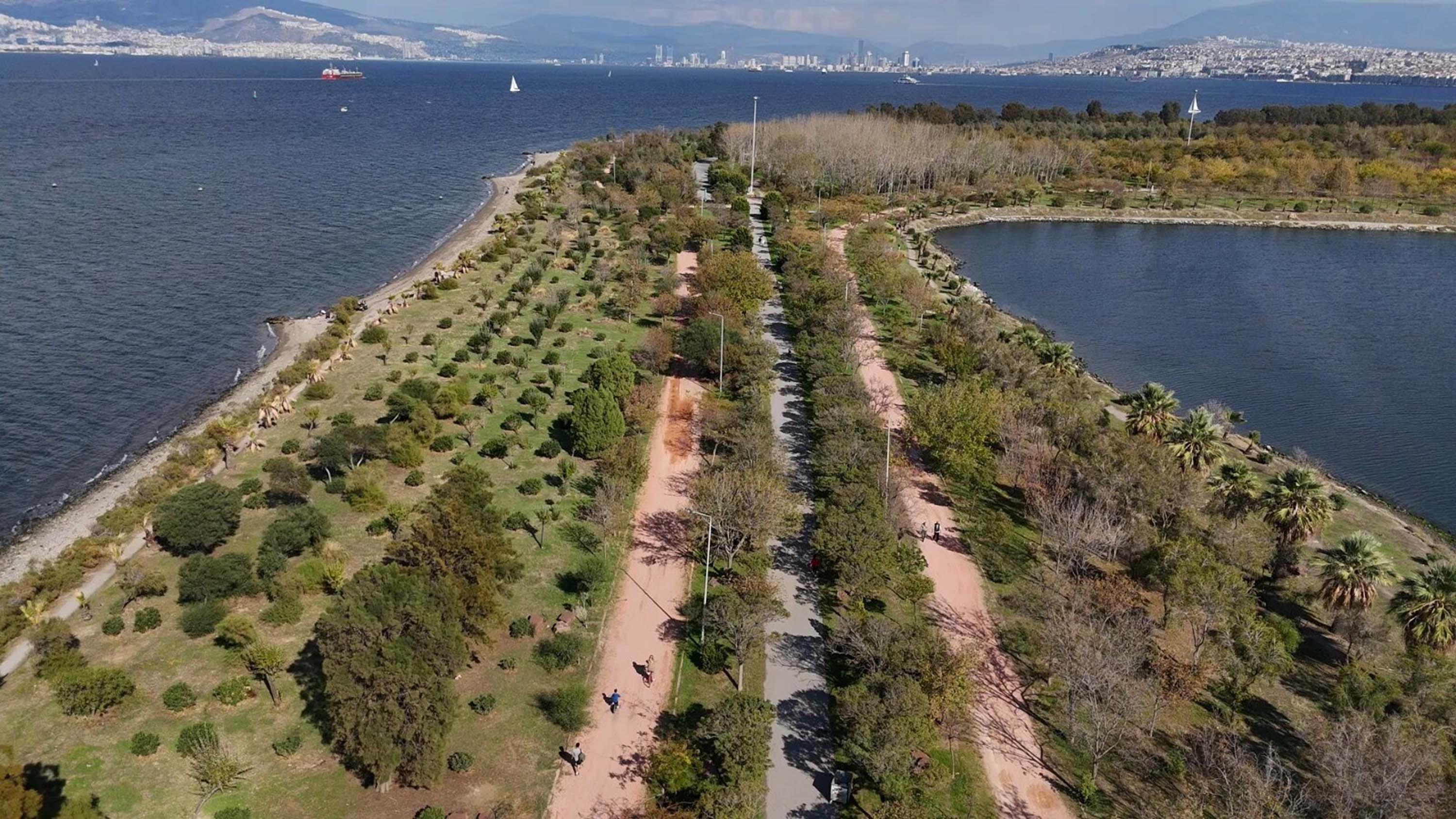 C A K A L B U R N U L A G U N U’ N D E S O N B A H A R M A N Z A R A S I 959427 284906