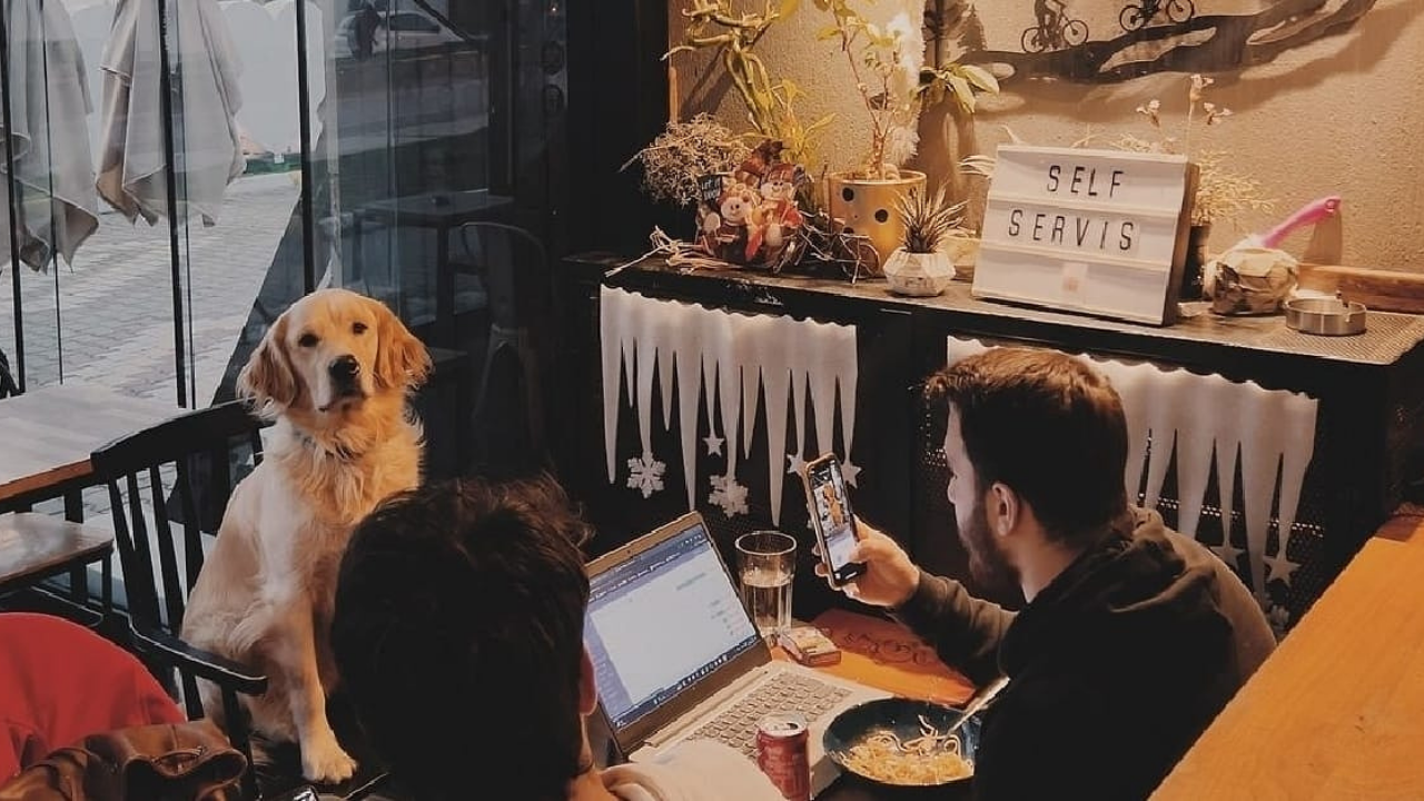 Cup & Ride Coffee Co