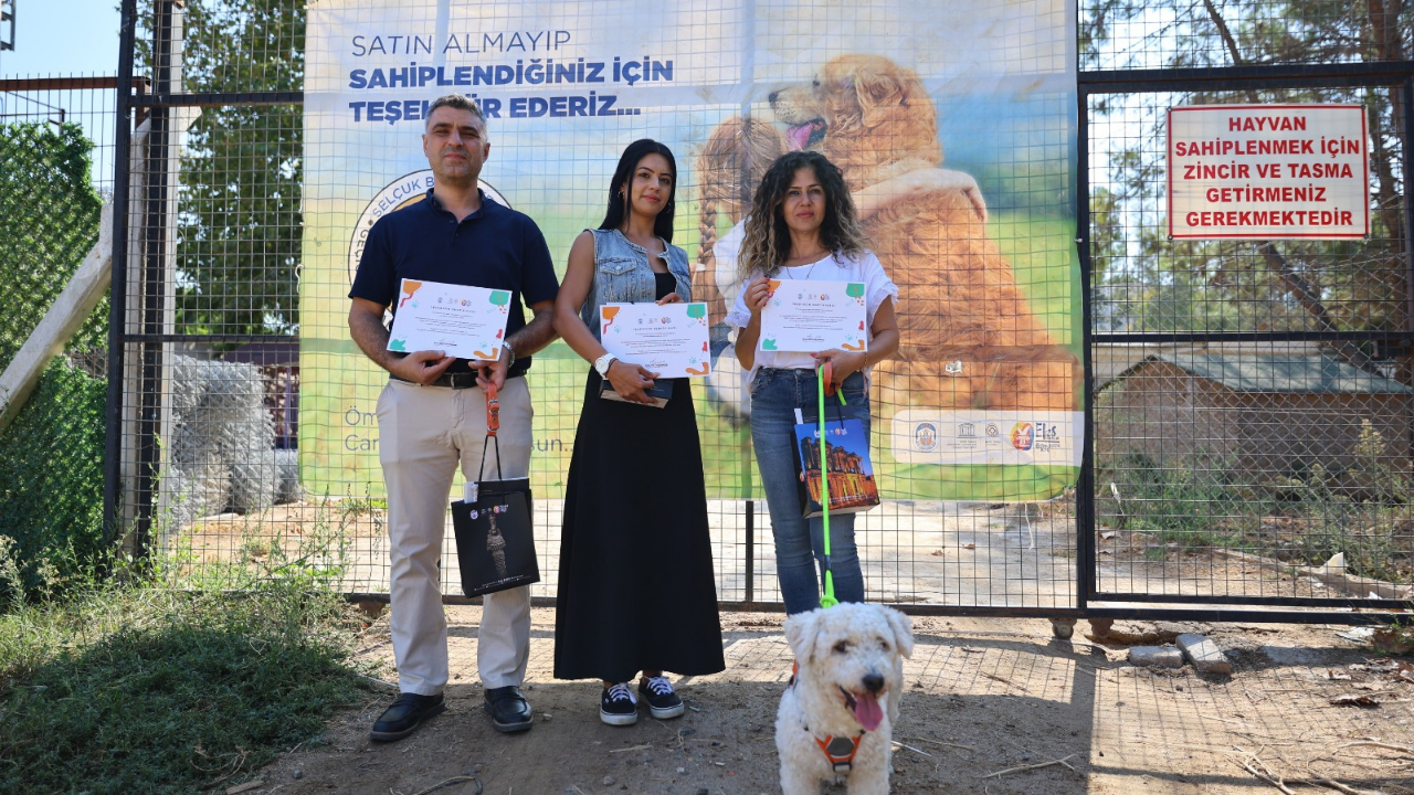 Efes Satın Alma Sahiplen 1