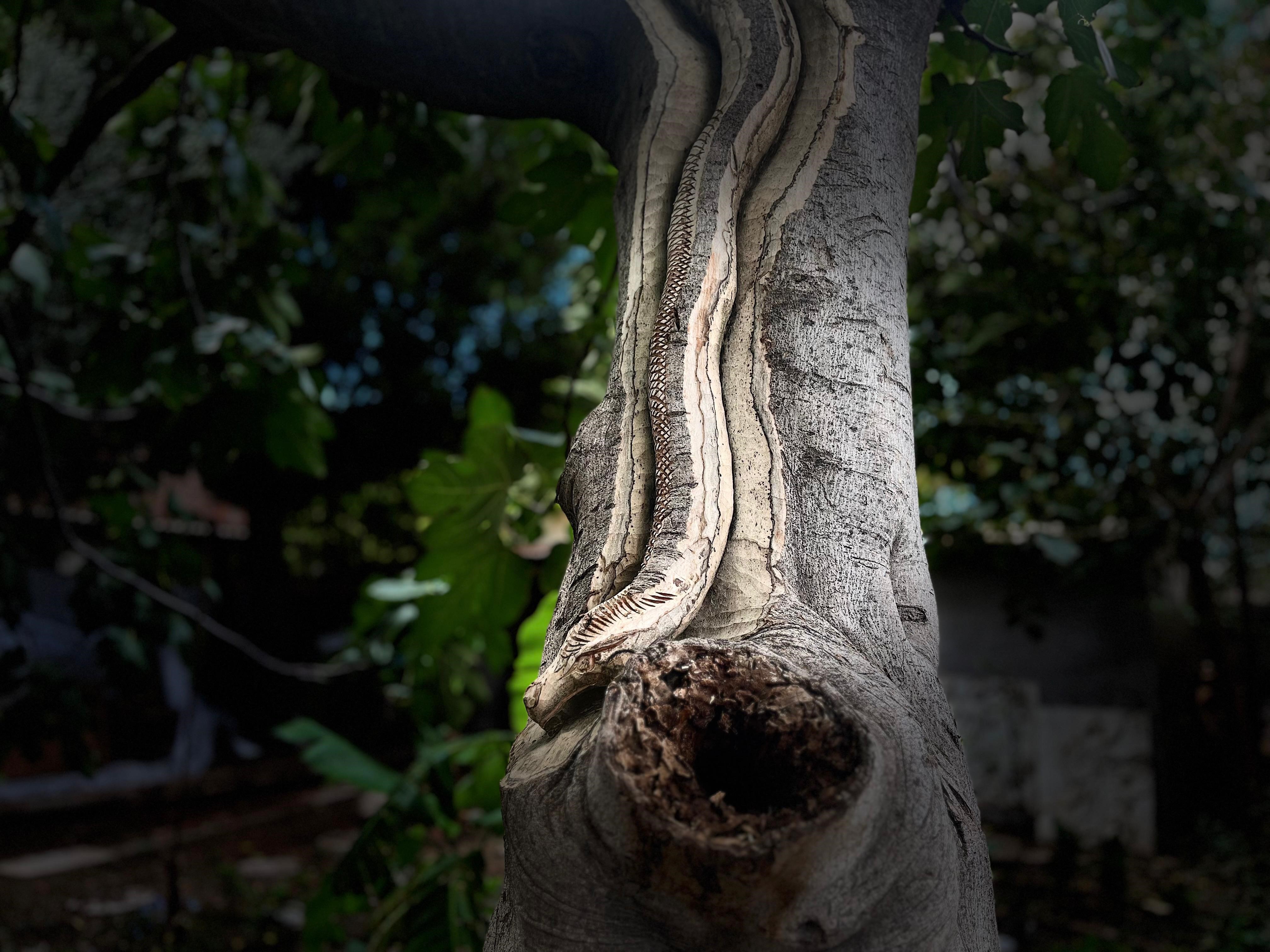 Emekliler Can Oluyor (1)