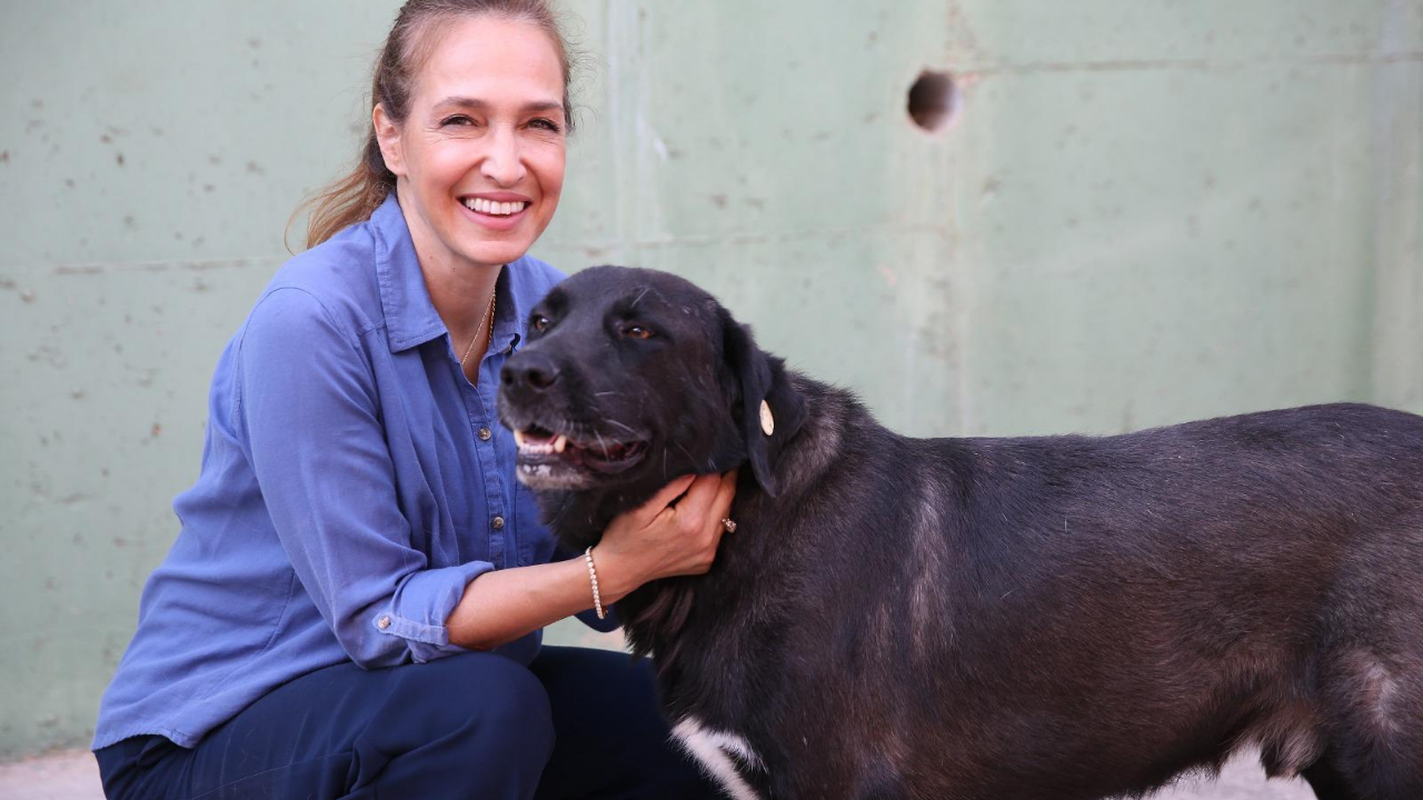 Karşıyaka’da Can Dostlar Için 25 Ton Mama Toplandı