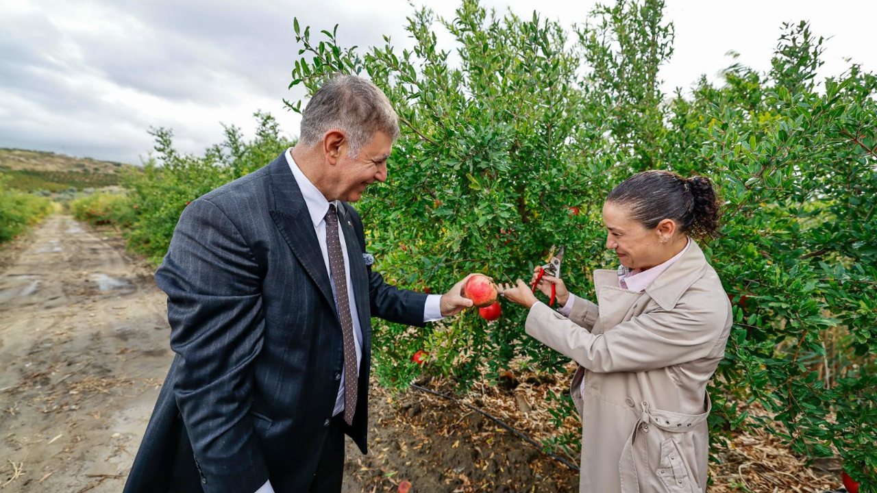 Nar Hasadı Sengel Tugay