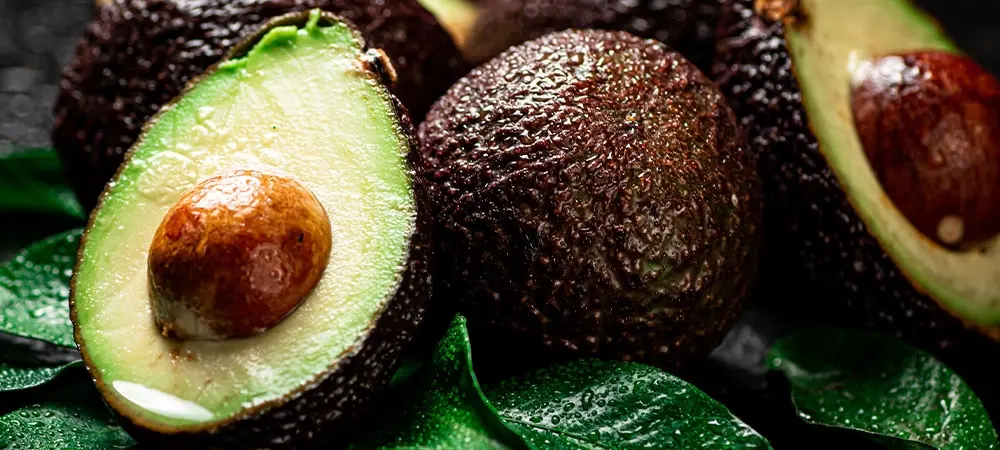 2 23 10873 Web Image B