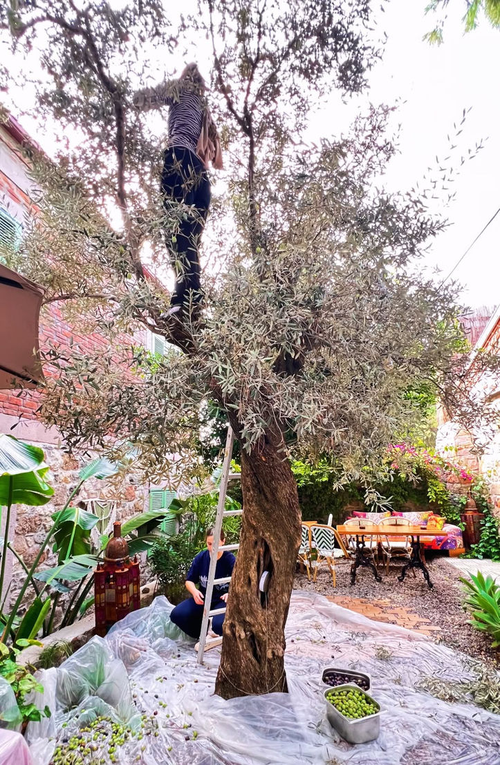 3834834 486993Fe4A1E3C2362Ee6Ae92A91A455