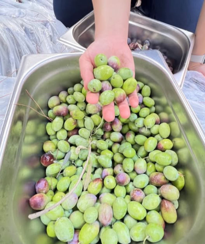 3834834 97F2946Bc11Ed624C54Cc2B673232Aec