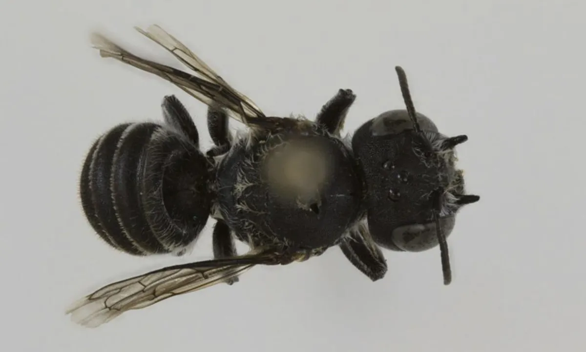 6912Da56D2050380 W1200Xh721