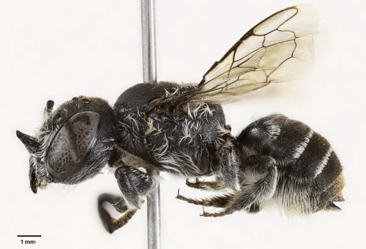 6912Da8Ed6E0B261 W1200Xh817