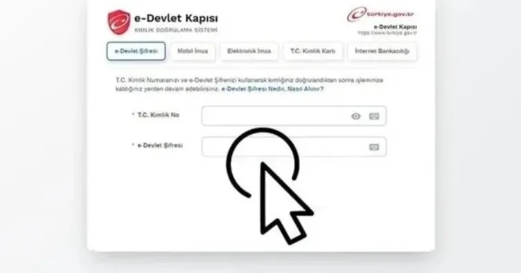 752X395 1762230225903