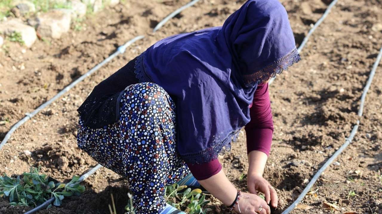 Bej Modern Sosyal Medya Rehberi Youtube Küçük Resim 18