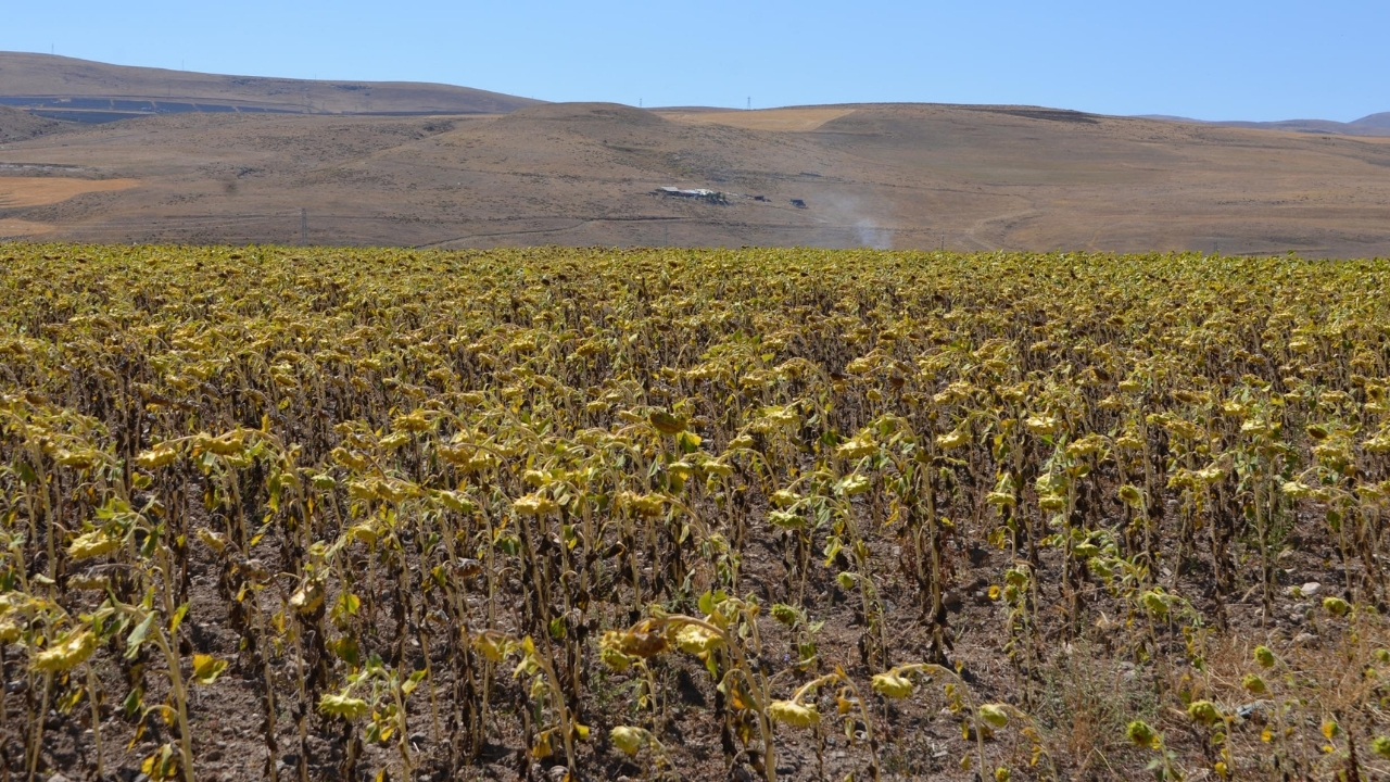 Bej Modern Sosyal Medya Rehberi Youtube Küçük Resim 21