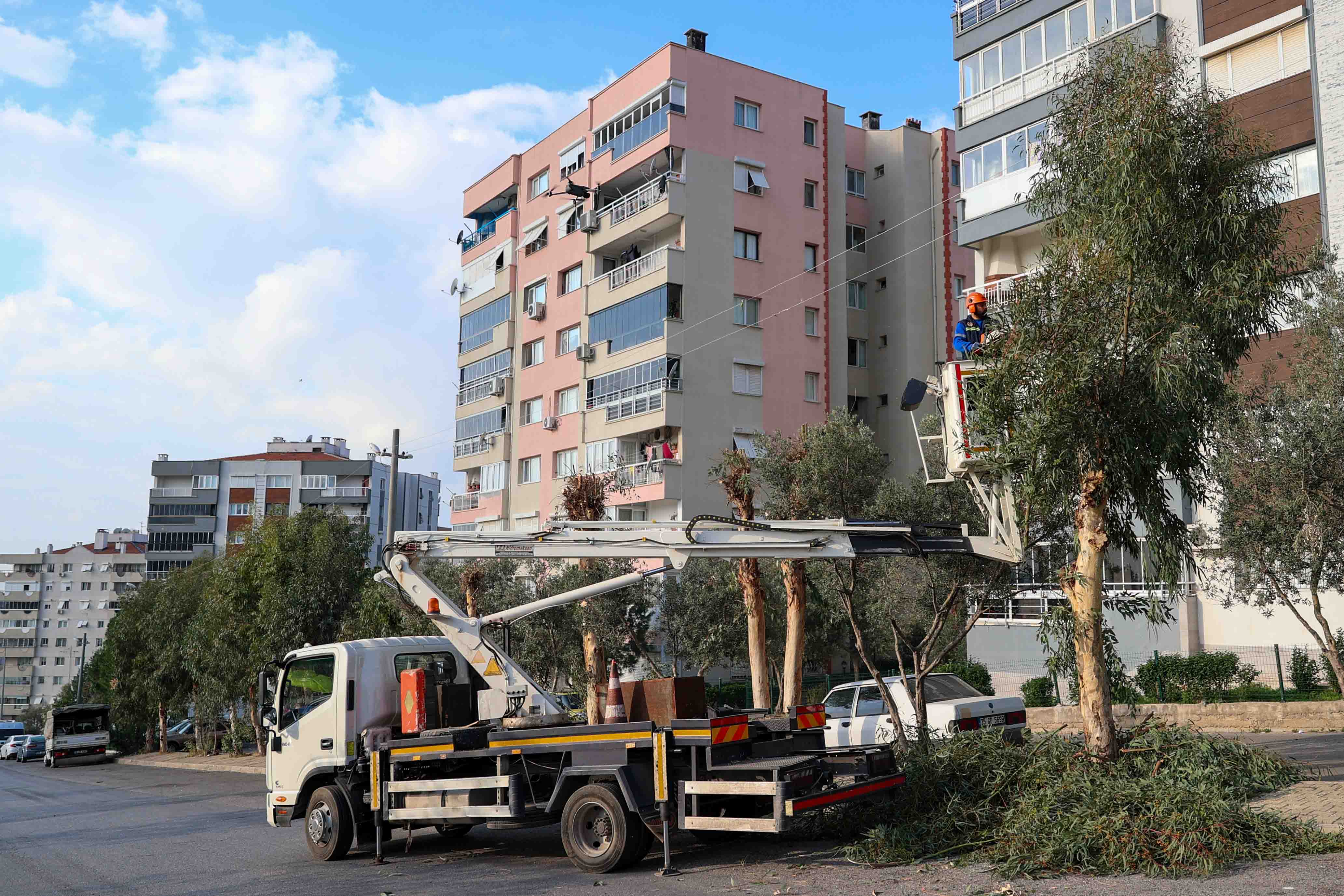 Buca Agac Budama (1)