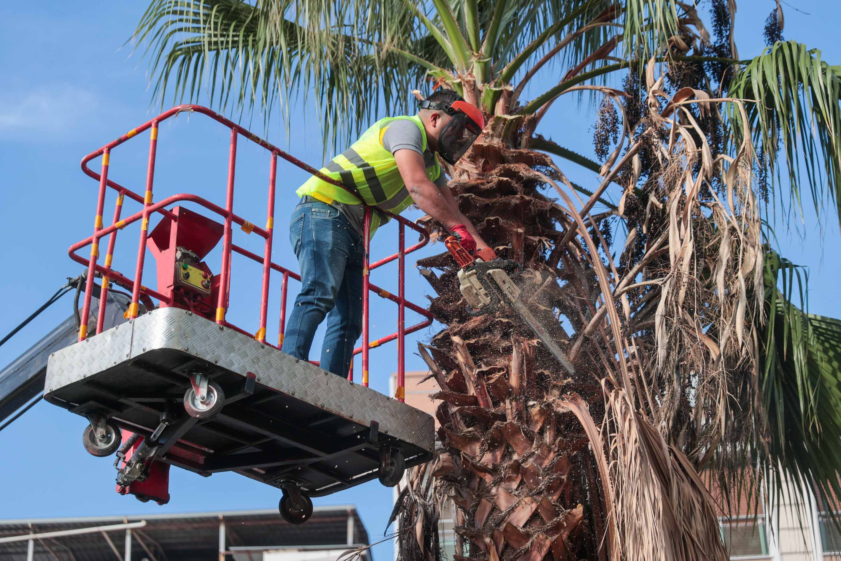 Buca Sokaklar Parklar Temizlendi (6)