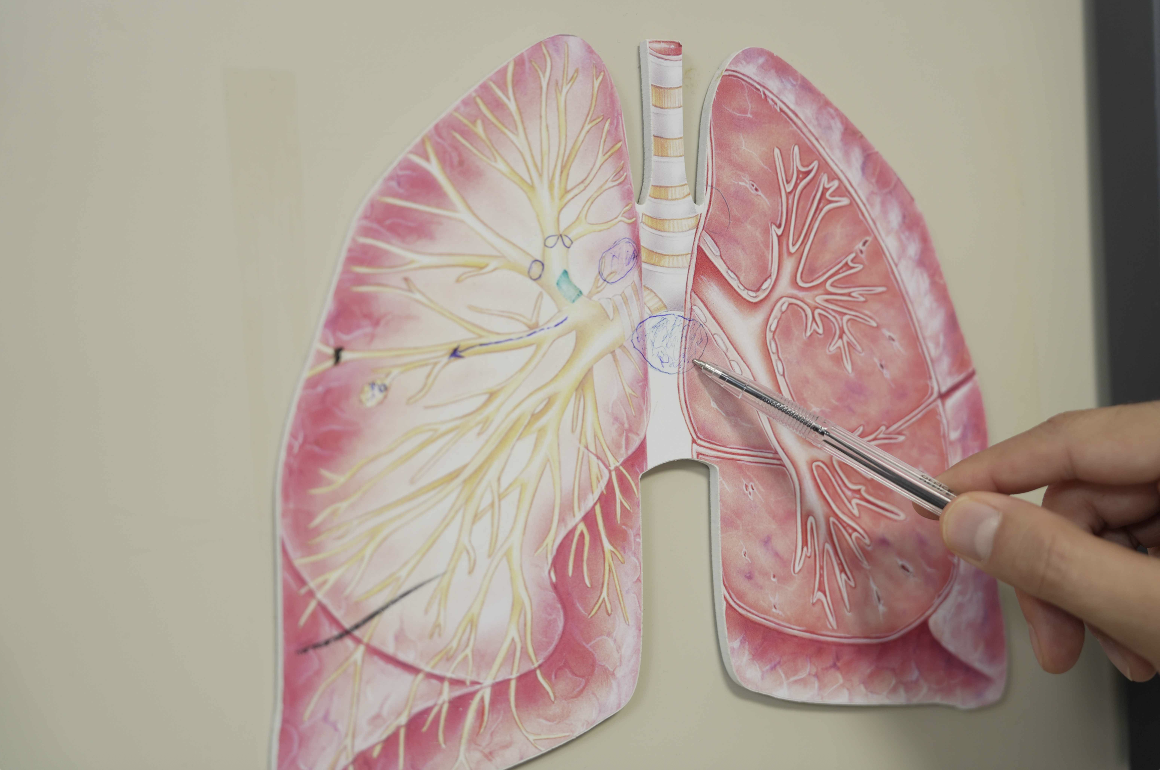 Ekran Resmi 2025 11 19 09.51.49