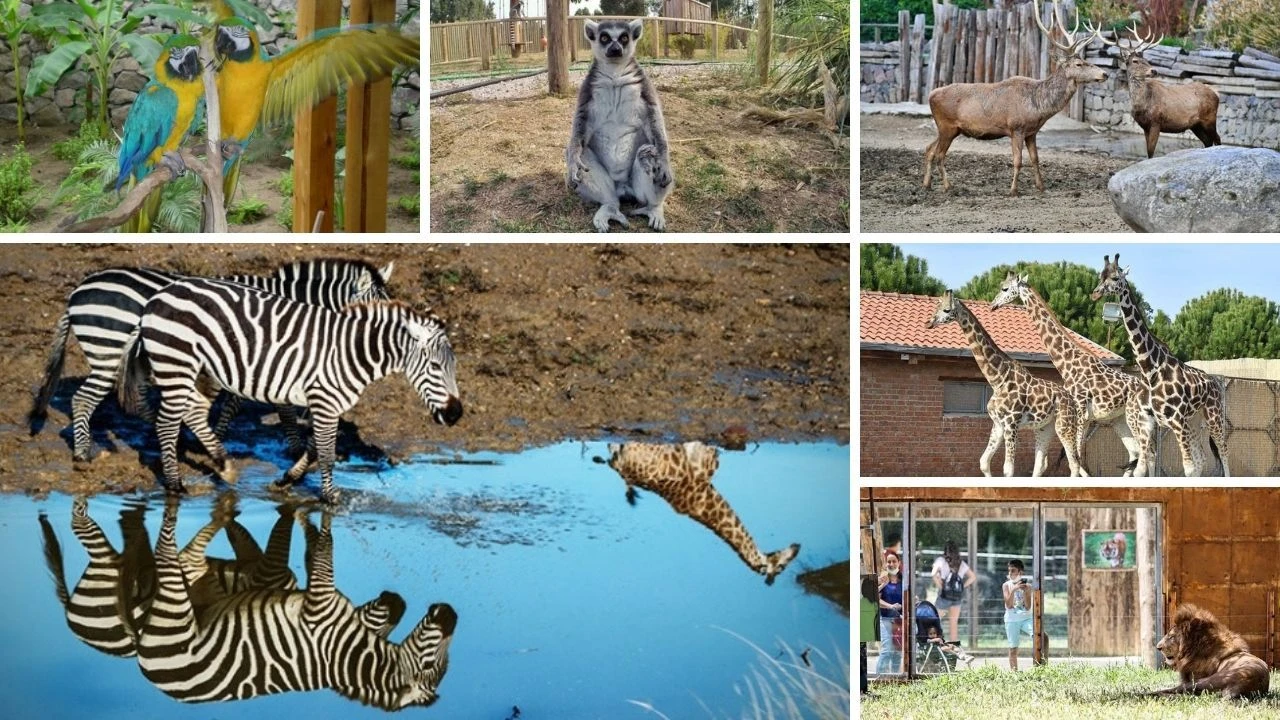 Izmir Dogal Yasam Parki 2