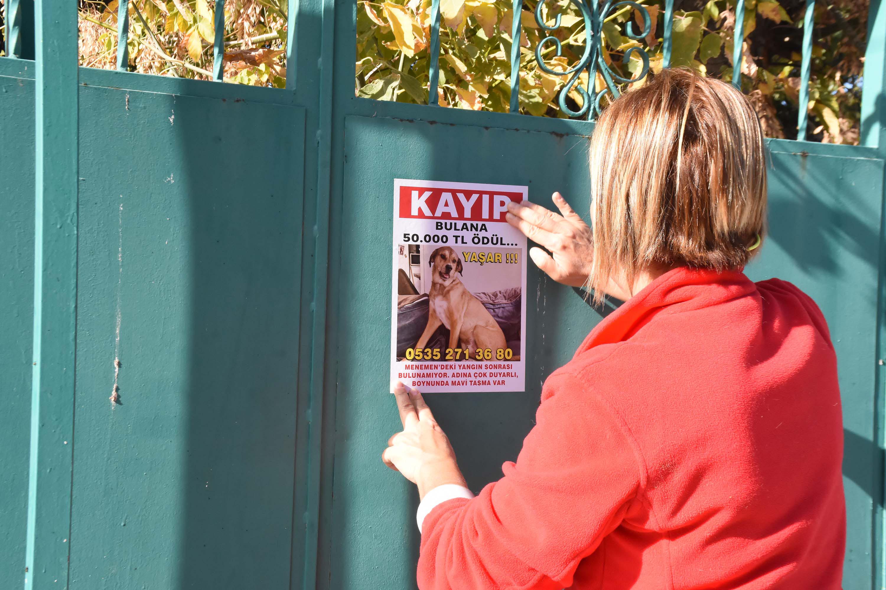 K A Y I P K O P E G I Y A S A R I B U L A N A 50 B I N L I R A 1033622 306732